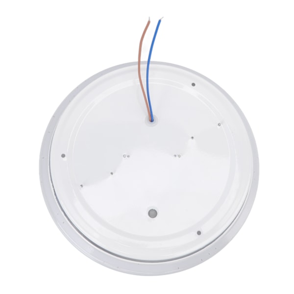Taklampa med Bluetooth-högtalare, RGB Färgskiftande Smart LED-lampa för Sovrum, Barnrum, Festdekoration, App-styrd Belysning, Vattentät