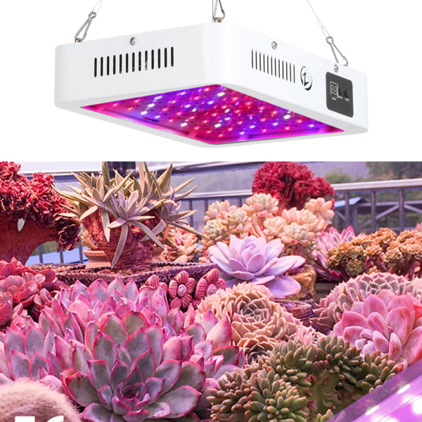 1200W LED Full Spectrum Växtlampa för inomhusväxthus
