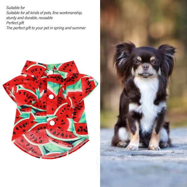 Pet Chic Statement, Trendig bandana med fruktmönster, Ribbad elastisk design för enkel användning, Polyester och andningsbar, Sommarkul i vattenmelonrött