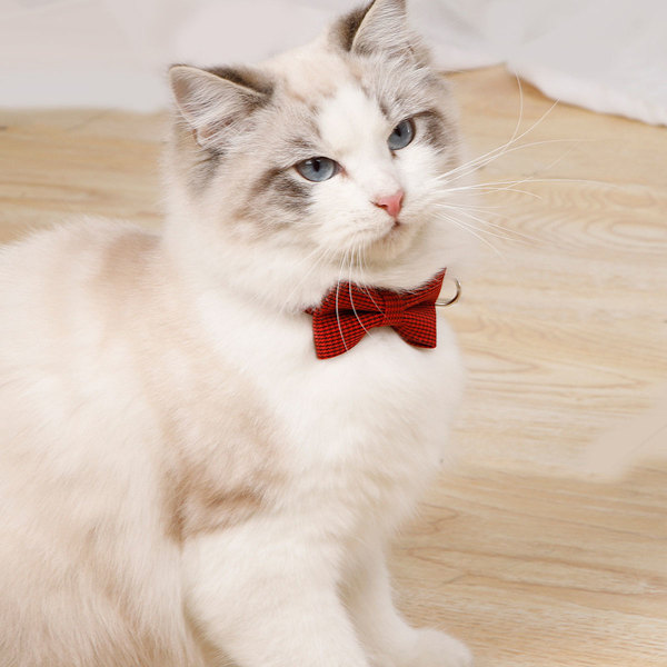 Pet Style Upgrade, Elegant Mjuk Sammet Kattkrage med Enfärgat Mönster för Bröllop Födelsedagspresent, Justerbar Storlek för Liten till Mellanstor Husdjurshals