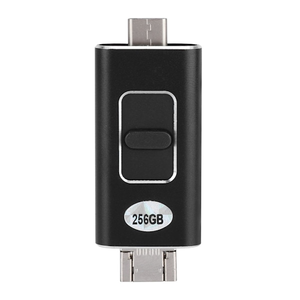 USB-minnepinne med flere kapasiteter, USB-minnepinne for lagring, svart minnepinner (256G)