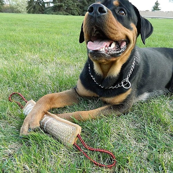 Dragkamp Leksak för Mellanstora till Stora Hundar, Jute Material med Slitstark Hundbit Ärm, Inte för Tuggande men Perfekt för Dragkamp, Förbättrar Husdjurets IQ och