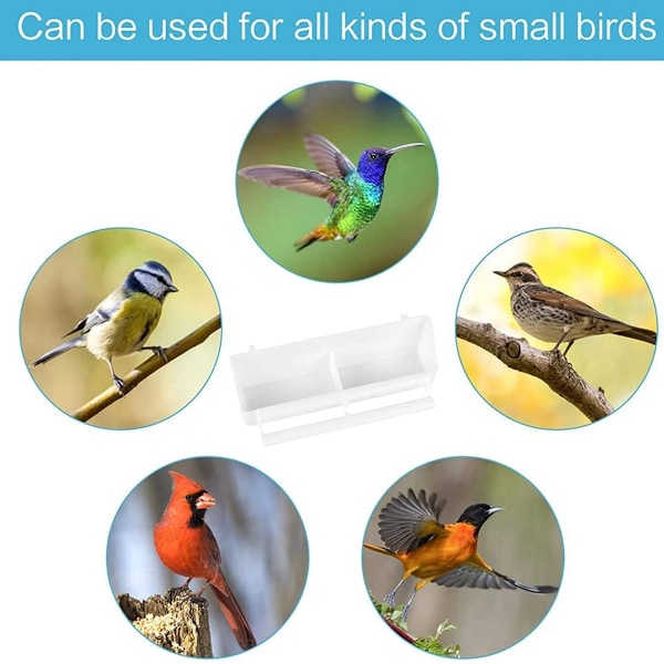 Avian Dining Delight, fågelmatningssked ingår med mat- och vattendispenser, giftfri för ditt husdjurs hälsa och säkerhet