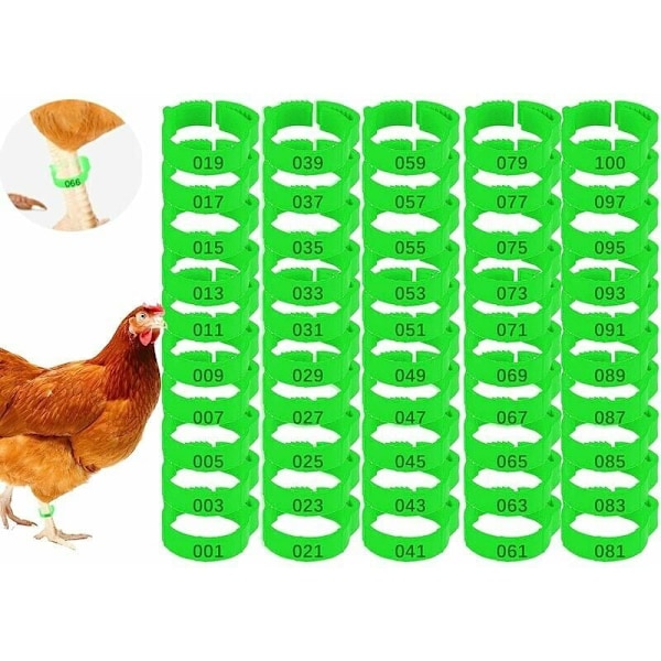 Hönfotsringar för vuxen fjäderfä, Clip-on typ ring som säkerställer enkel identifiering med numrerade plastfågelbensband för kycklingar, ankor och höns