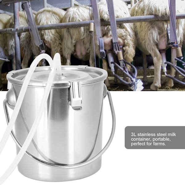 3L justerbar motor melkemaskin vakuumpumpe rustfritt stål bøtte for sau 100-240VEU plugg