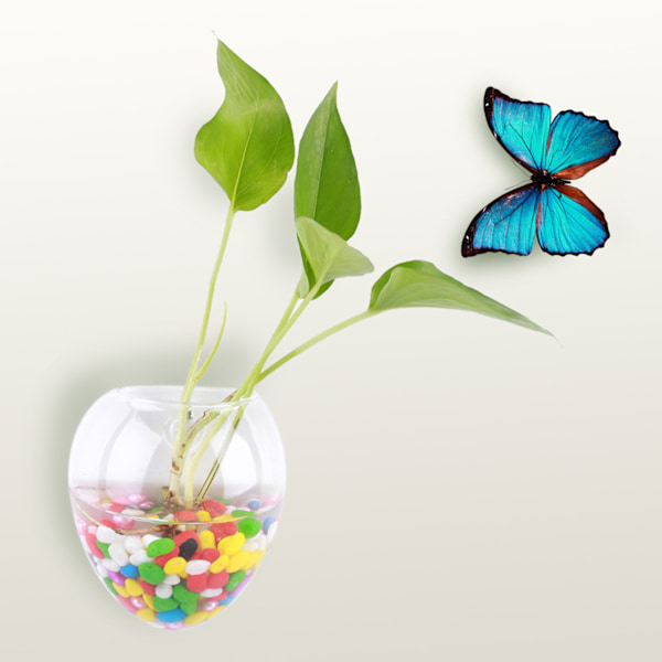 Hängande växter Blommor Glas Vas Vägg Hydroponisk Akvarium Behållare Heminredning #6