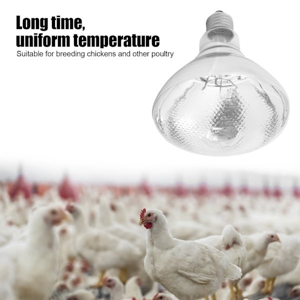 Uppfödningsvärmelampa Justerbar Temperatur Infraröd Uppfödningsisoleringslampa 220V‑240VAR38 Vit Glas Pitting