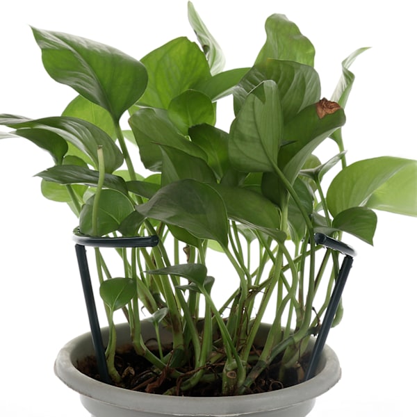 Trädgårdsstöd Pinnar för Växter, Blomstertorn för Klätterväxter, DIY Trädgårdsstöd för Upprätt Tillväxt, Högkvalitativa Växtstöd i Plast för