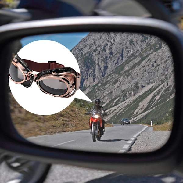 Motorcykelkörning Skyddsglasögon Dammsäkra Vindtäta ArC-formade Glasögon (Bronsgrå)