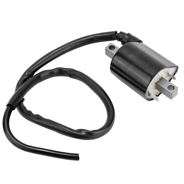 Stor förskjutning 2 stift tändspole för Yamaha Cart G2 & G9 modeller J38823102000