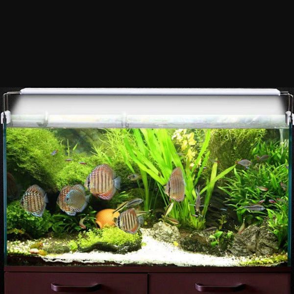13W Akvarium LED Lys Høj Kvalitet Akvarium Lys Lampe Med Ex