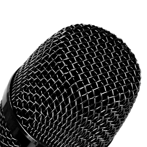 Trådlös Mikrofon 1 för 2 LED-Skärm Handhållen Karaoke Trådlös Mikrofon för Utomhus Hem Konferens Svart