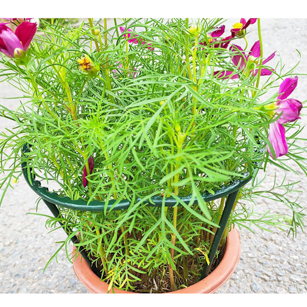 Trädgårdsstöd Pinnar för Växter, Blomstertorn för Klätterväxter, DIY Trädgårdsstöd för Upprätt Tillväxt, Högkvalitativa Växtstöd i Plast för