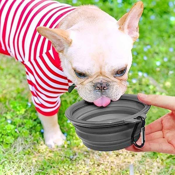 Husdjurets Bästa Vän: Robusta Förstärkta Kant Hopfällbara Hundskålar, Rese- och Campinglösning med Lättrengjorda Funktioner, Vikbar Design för Inomhus &