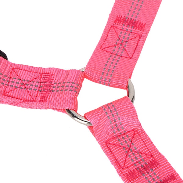 Justerbart hundhuvudstöd säkerhetsbälte hund nylon reflekterande säkerhetsbälte rem för bilrosröd