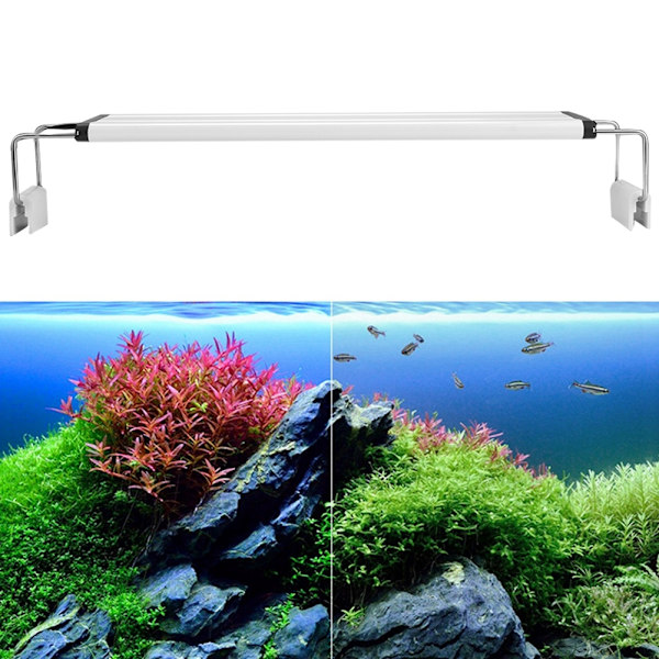EU-stik 200-240V 4W Highlight LED-lyslampe med beslag til Aq