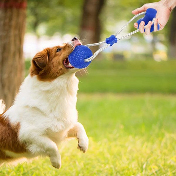 Sugkopp Hund Leksak, Husdjur Molar Bite Multifunktion Interaktiv Hållbar Rep Leksak med Kraftfull Sugkopp, Aggressiv Tugga Husdjur Leksaker för Hjälper Rengöring