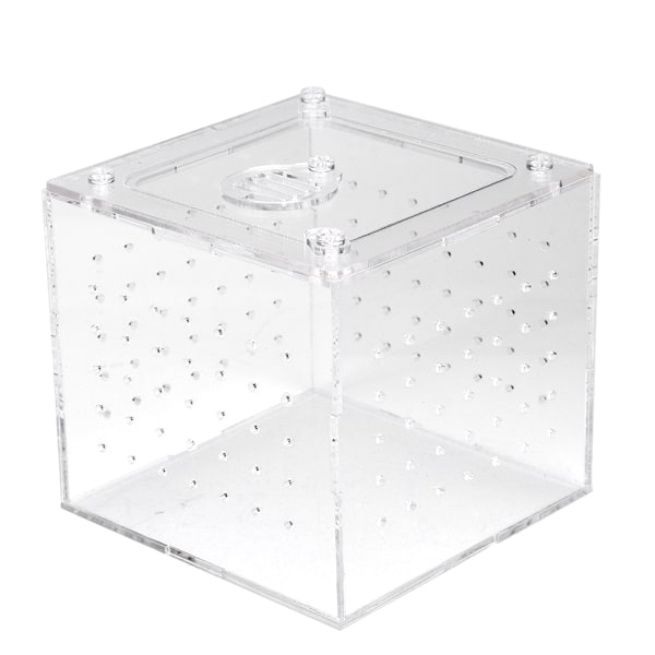1 st Reptil Terrarium Matare Orm Spindel Ödla Avel Akryl Box Fodral Insekter Hus