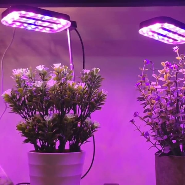 Innovativ Odlinglösning, LED Växtlampa för Inomhusväxter, Automatisk Timer Bordslampa för Bekväm Växtvård