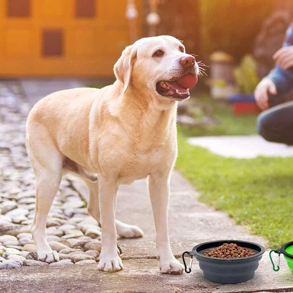 Husdjurets Bästa Vän: Robusta Förstärkta Kant Hopfällbara Hundskålar, Rese- och Campinglösning med Lättrengjorda Funktioner, Vikbar Design för Inomhus &