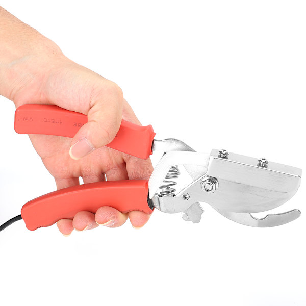 Sähkölämmitteinen häntäpuristimet porsaille ja lampaille, 220V CN-pistoke