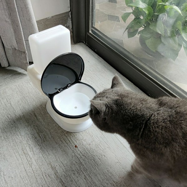 Pet Companion's Oasis, Automatiskt Vattningssystem med Gravitationsmatad Design, PP-bas PET-flaska Säkerställer Färskt Vatten