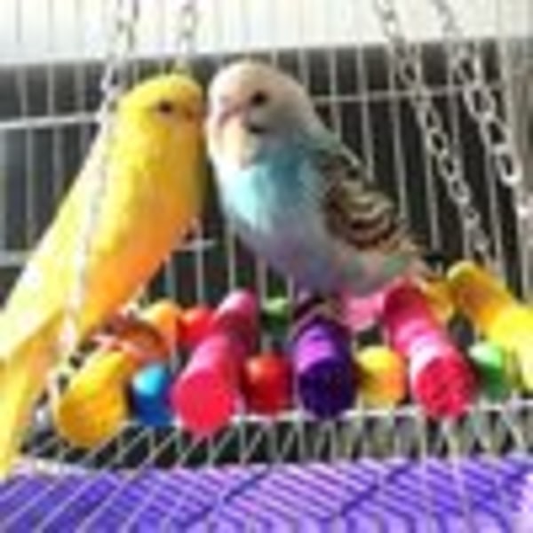 Avian Amusement, Färgglada Tuggleksaker för Fågelbur, Enkel Installation för Medelstora och Små Fåglar, Tugg- och Ljudunderhållning (7 Delar)