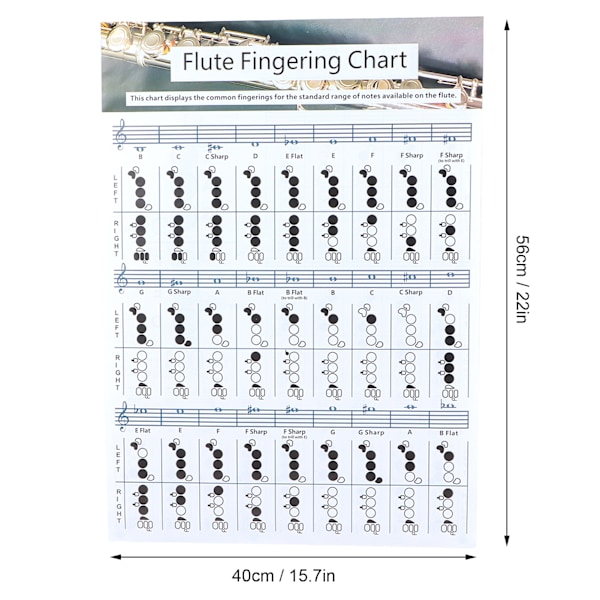 Flöjtgrepp ackordtabell nybörjare student övning undervisningshjälpmedel instrumenttillbehör L(56x40cm)