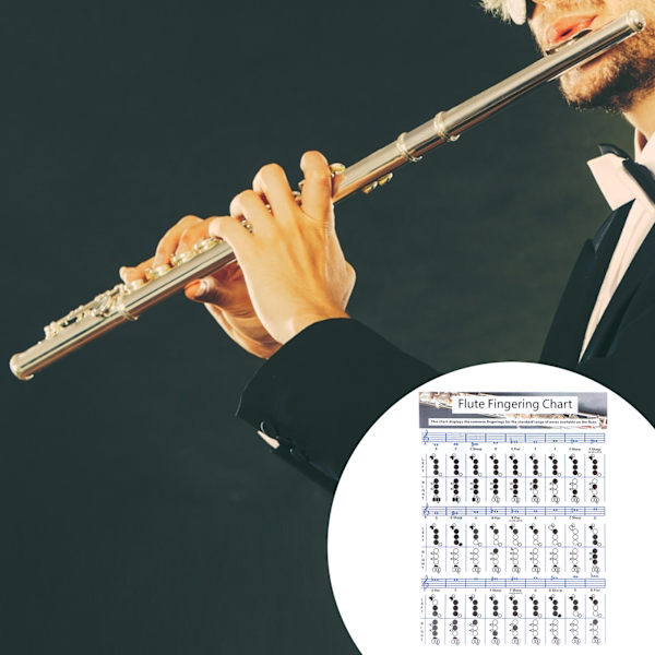 Huilun sormitusnuottitaulukko Aloittelija Opiskelija Harjoitteluopetusvälineet Instrumentin lisävarusteet S(28x21cm)