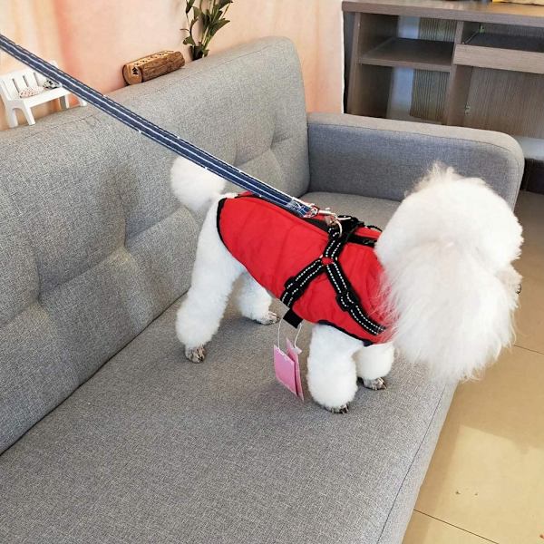 Hundejakke Vintervest Jakker Hundekåbe Hundetrøje Hausti