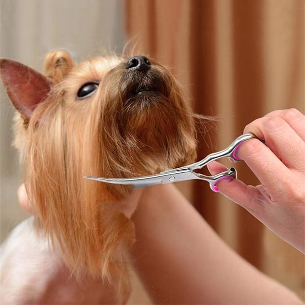 Pet Grooming Masterpiece, 4CR Rostfritt Stål Böjda Hundsaxar, Ljuddämpande Design För Tyst Grooming, Professionella Kvalitetsverktyg,