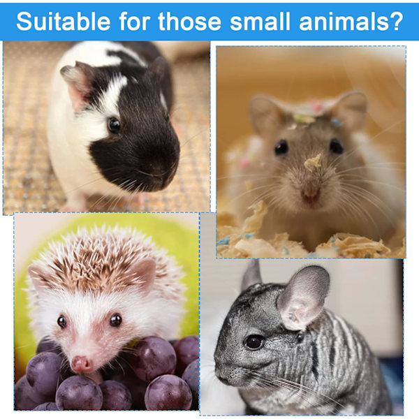 Nödvändighet för husdjursälskare, Transparent hamsterlåda, Sidoingång underlättar lek och underhållning för dina små lurviga vänner, Ultralätt