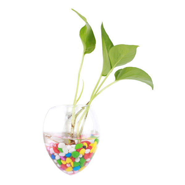 Hängande växter Blommor Glas Vas Vägg Hydroponisk Akvarium Behållare Heminredning #6