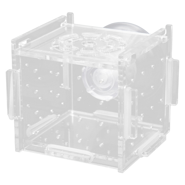 Fisk Isolationsboks Akryl Fiskeopdrætsboks Akvarium Rugeri til Babyfisk RejerEnkelt Mini Boks 6x6x6