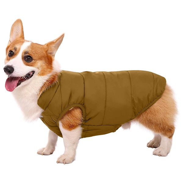 Vindtät hund vinterjacka kappa varm hundväst kallt väder Pe