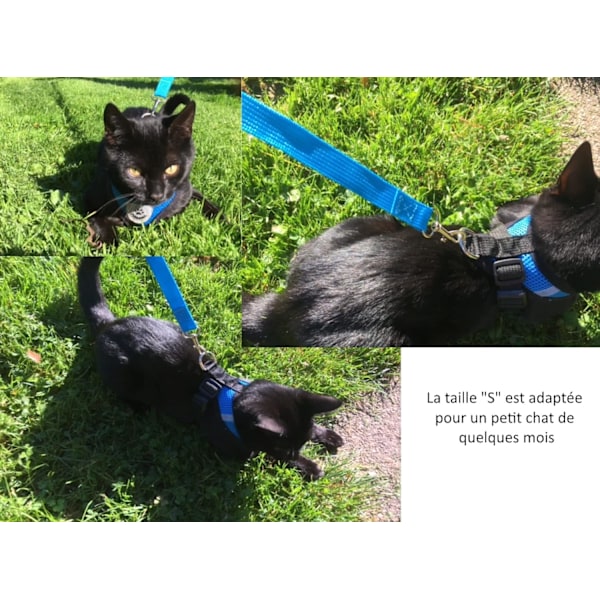 Justerbara Mjuka Mesh Husdjurstillbehör, Hundsele Väst Med Reflexdesign, Tanktoppar För Små Hundar, Lättviktig Kattbröstsele, Andningsbart Mesh