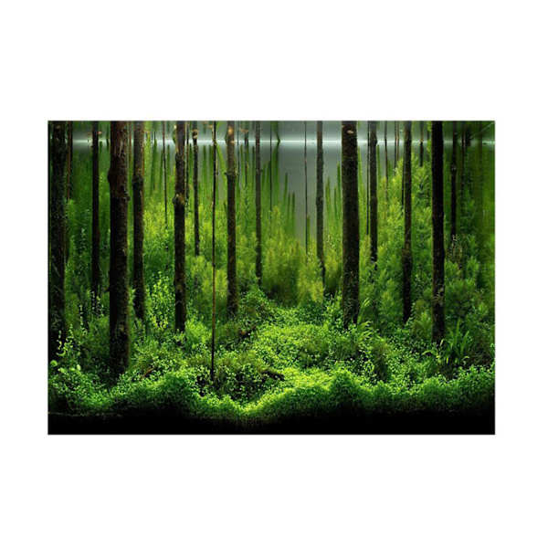 PVC-klæbemiddel til undervandsskovstank baggrundsplakat baggrundsdekoration papir (61*41cm)