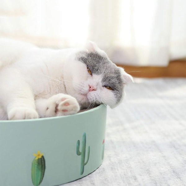 Cozy Claws Medium Grön Lättviktsdesign, Klovårdande Konkav Form För Din Katts Ultima Avkoppling