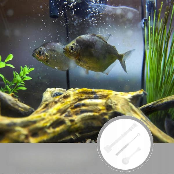 Fiskmatningsrör med bred matningsport