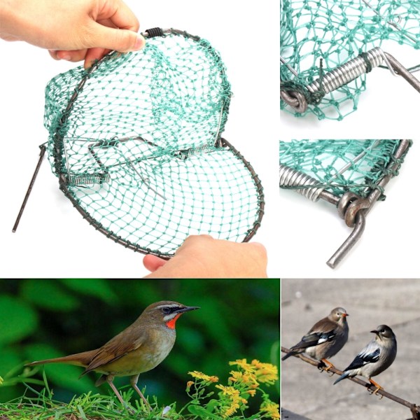 Fångstfågelnät Skadedjursbekämpning Human Live Trap Mesh för Sparvar Duvor Vaktel och Fåglar