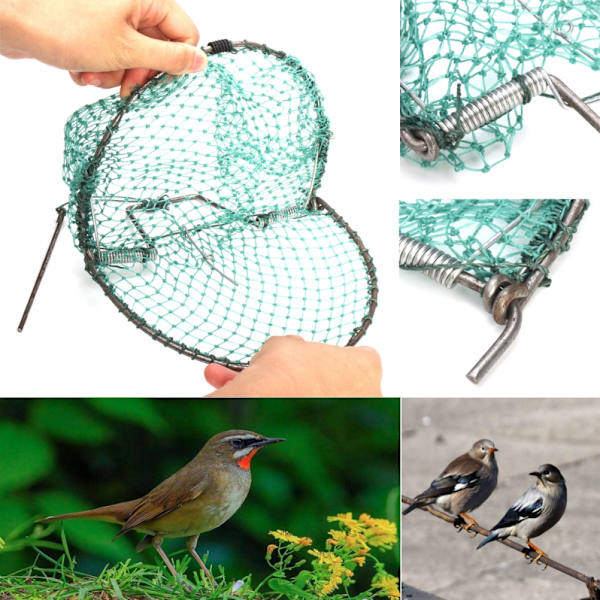 Fangstfuglnett Skadedyrbekjempelse Humane Live Trap Mesh for Sparrows Duer Vaktler og Fugler
