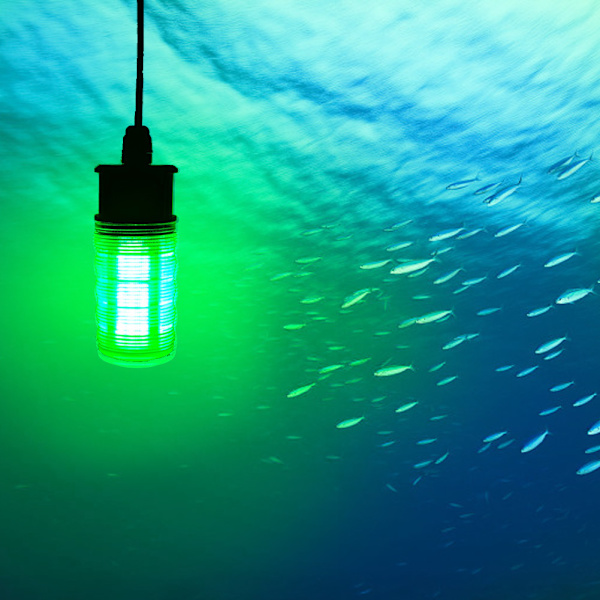 10W Hög Ljusstyrka LED Fiske Lockbete Undervattens Fiske Ljus Natt Gre