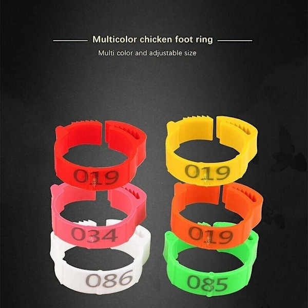 Hönfotsringar för vuxen fjäderfä, Clip-on typ ring som säkerställer enkel identifiering med numrerade plastfågelbensband för kycklingar, ankor och höns