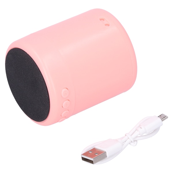 Trådlös Bluetooth-högtalare utomhus bärbar mini Hifi-högtalarlåda USB/minneskort/FM