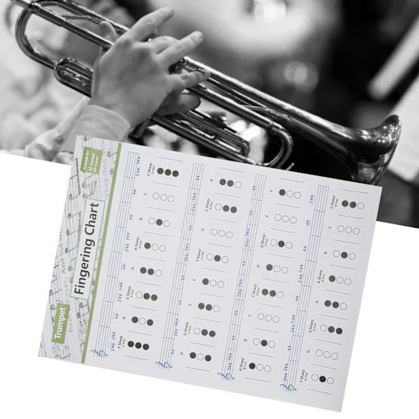 Trompetfingersatz-akkordtabelle, Noten, Musikinstrument, Referenzhandbuch für Zuhause und Unterricht, groß