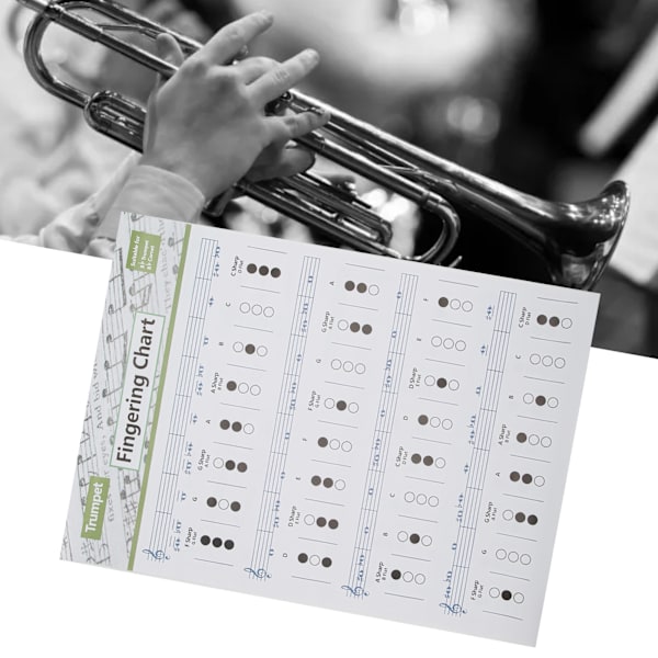 Trumpet Chord Chart Fingering Note Music Instrument Reference Guide för Hem KlassLarge