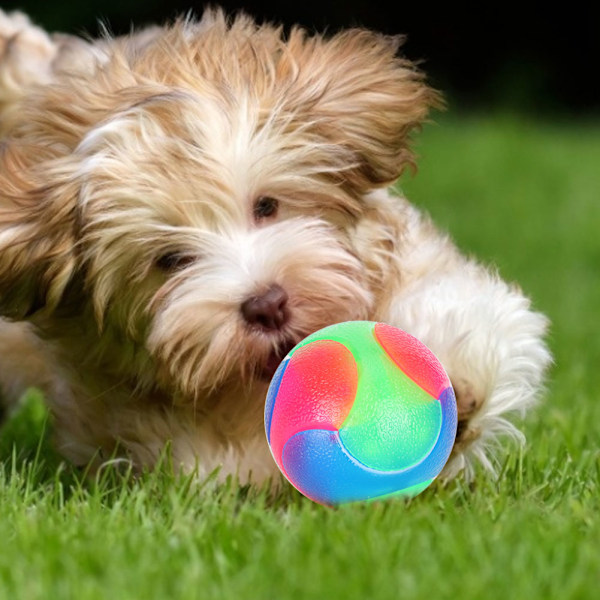 Husdjursfärgad Ljusboll, LED-Molarboll, Giftfri och Säker för Din Hund, Interaktiva Hundbollar som Förbättrar Relationer Genom Lek, Bitresistent