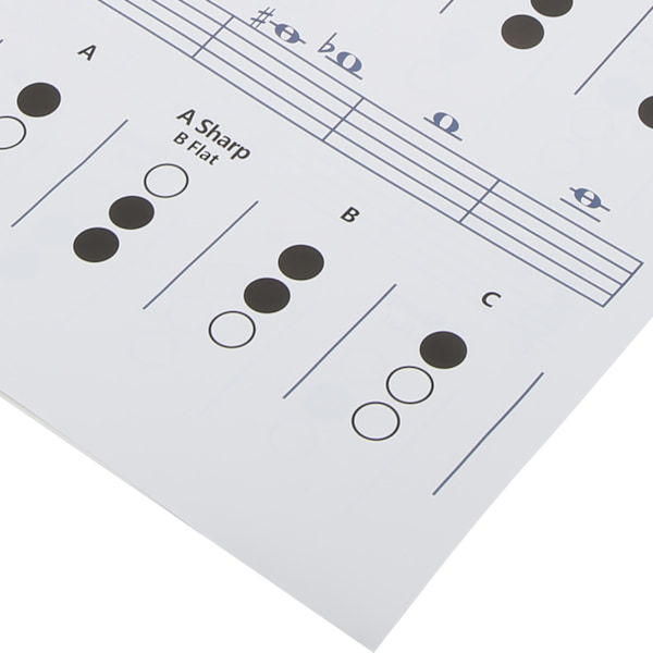 Trompet-akkorddiagram Fingering Note Music Instrument Reference Guide til hjemmeklasseStor