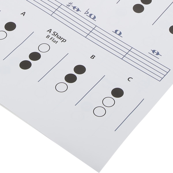 Trumpet Chord Chart Fingering Note Music Instrument Reference Guide för Hem KlassLarge