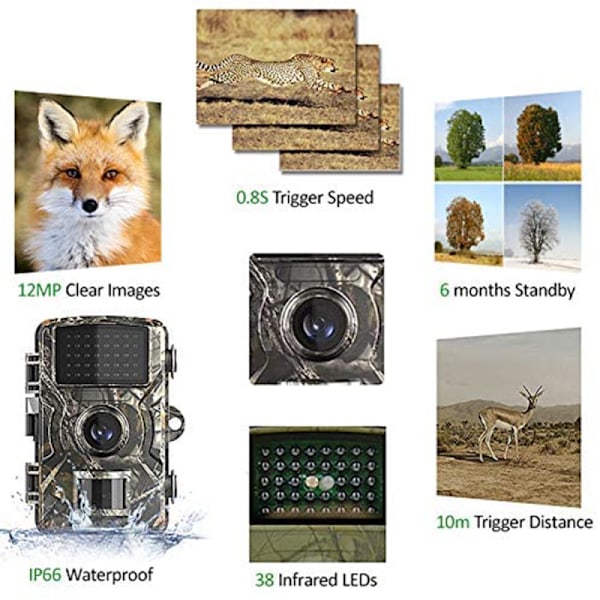 Trail Camera med Ultra-Hög Upplösning, 12MP & 1080P Video, 120° PIR Rörelsedetektering, Inget Glöd Nattseende, Vattentät, Lång Batteritid, Perfekt För